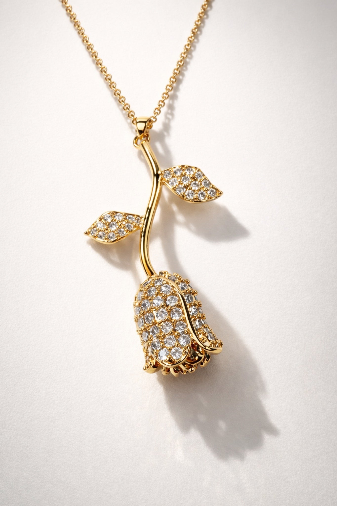 Forever Rose Set